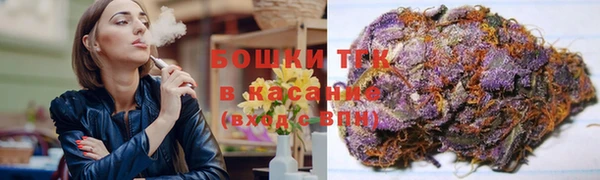 молекула духа Гусиноозёрск