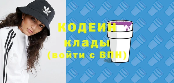 молекула духа Гусиноозёрск