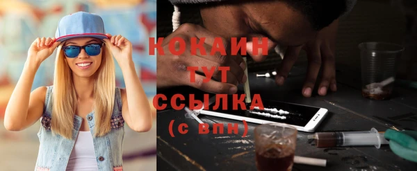 спайс Бикин