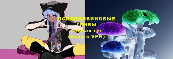 метадон Гусь-Хрустальный