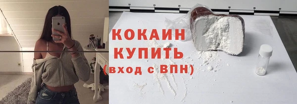 ГАЛЛЮЦИНОГЕННЫЕ ГРИБЫ Гусев