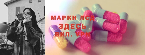 ГАЛЛЮЦИНОГЕННЫЕ ГРИБЫ Гусев