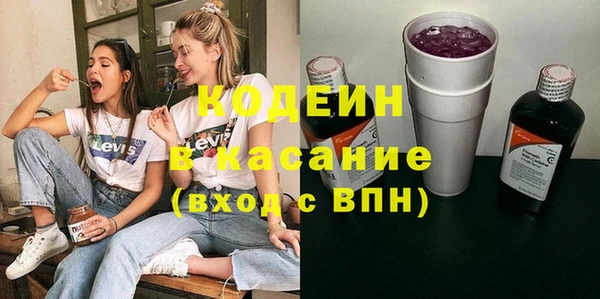 ГАЛЛЮЦИНОГЕННЫЕ ГРИБЫ Гусев