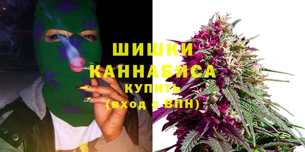молекула духа Гусиноозёрск