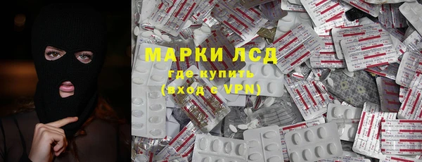 ГАЛЛЮЦИНОГЕННЫЕ ГРИБЫ Гусев
