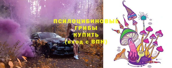 молекула духа Гусиноозёрск